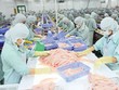 VNH: sau lãi lớn là giải thể?